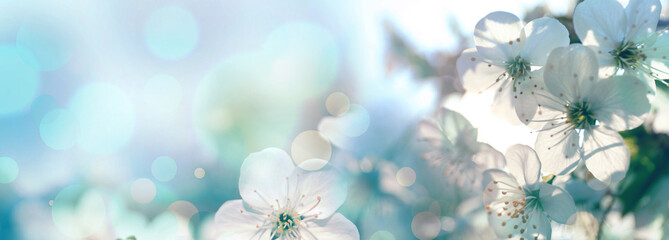 芙蓉经典如何护理面部